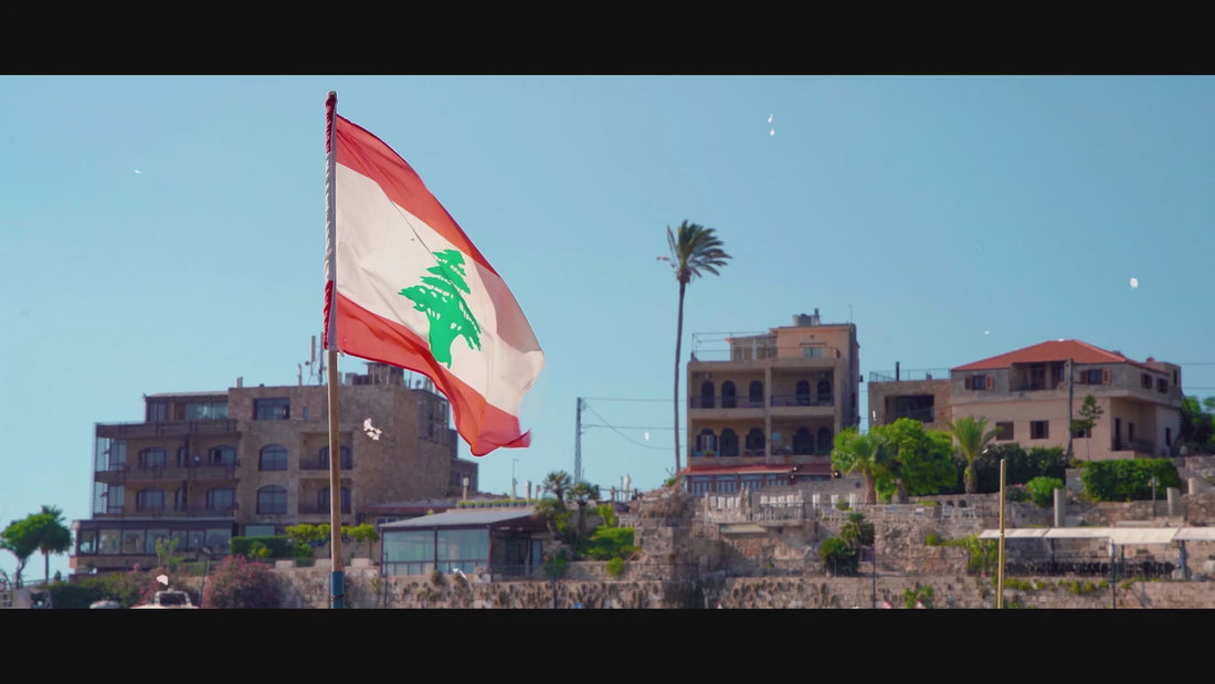 Lebanese flag flying beside buildings and a palm tree beneath a blue sky